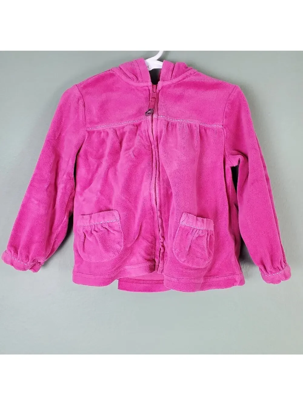 Gymboree Fall Forest Pink Velour Hoodie Size 3T